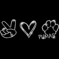 GLT86 SILVER GLITTER Thumbnail