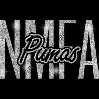 GLT95 SILVER GLITTER Thumbnail