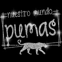 GLT90 SILVER GLITTER Thumbnail