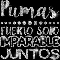 GLT87 SILVER GLITTER Thumbnail