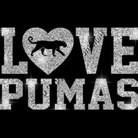 GLT51 SILVER GLITTER Thumbnail