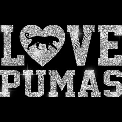 GLT51 SILVER GLITTER Thumbnail