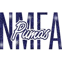 GLT95 BLUE GLITTER Thumbnail